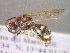  ( - CCDB-12229-B07)  @13 [ ] Copyright  G. Blagoev 2010 Unspecified