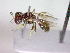  ( - CCDB-12229-B08)  @12 [ ] Copyright  G. Blagoev 2010 Unspecified