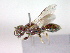  ( - CCDB-12229-B09)  @12 [ ] Copyright  G. Blagoev 2010 Unspecified
