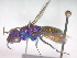  ( - CCDB-12229-C03)  @13 [ ] Copyright  G. Blagoev 2010 Unspecified