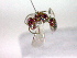  ( - CCDB-12229-C10)  @12 [ ] Copyright  G. Blagoev 2010 Unspecified