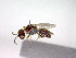  ( - CCDB-12229-E05)  @12 [ ] Copyright  G. Blagoev 2010 Unspecified