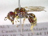  ( - CCDB-12229-E12)  @13 [ ] Copyright  G. Blagoev 2010 Unspecified
