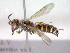  ( - CCDB-12229-F07)  @13 [ ] Copyright  G. Blagoev 2010 Unspecified