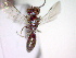  ( - CCDB-12229-F08)  @12 [ ] Copyright  G. Blagoev 2010 Unspecified
