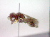  ( - CCDB-12229-F10)  @12 [ ] Copyright  G. Blagoev 2010 Unspecified