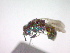  ( - CCDB-12229-G10)  @12 [ ] Copyright  G. Blagoev 2010 Unspecified