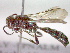 ( - CCDB-12229-H07)  @13 [ ] Copyright  G. Blagoev 2010 Unspecified