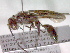  ( - CCDB-12229-H09)  @12 [ ] Copyright  G. Blagoev 2010 Unspecified