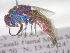  ( - CCDB-12229-H10)  @13 [ ] Copyright  G. Blagoev 2010 Unspecified