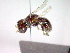  ( - CCDB-12230-A05)  @12 [ ] Copyright  G. Blagoev 2010 Unspecified