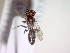  ( - CCDB-12230-A09)  @12 [ ] Copyright  G. Blagoev 2010 Unspecified