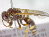  ( - CCDB-12230-B06)  @13 [ ] Copyright  G. Blagoev 2010 Unspecified