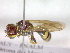  ( - CCDB-12230-B08)  @13 [ ] Copyright  G. Blagoev 2010 Unspecified