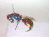  ( - CCDB-12230-C12)  @13 [ ] Copyright  G. Blagoev 2010 Unspecified