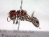  ( - CCDB-12230-D01)  @13 [ ] Copyright  G. Blagoev 2010 Unspecified