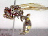  ( - CCDB-12230-E05)  @13 [ ] Copyright  G. Blagoev 2010 Unspecified