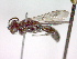  ( - CCDB-12230-G01)  @13 [ ] Copyright  G. Blagoev 2010 Unspecified