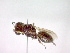  ( - CCDB-12230-G02)  @12 [ ] Copyright  G. Blagoev 2010 Unspecified
