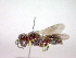  ( - CCDB-12230-G10)  @12 [ ] Copyright  G. Blagoev 2010 Unspecified