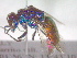  ( - CCDB-12230-H02)  @13 [ ] Copyright  G. Blagoev 2010 Unspecified