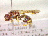 ( - CCDB-12231-A04)  @13 [ ] Copyright  G. Blagoev 2010 Unspecified