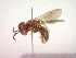  ( - CCDB-12231-C05)  @12 [ ] Copyright  G. Blagoev 2010 Unspecified