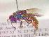  ( - CCDB-12231-D01)  @13 [ ] Copyright  G. Blagoev 2010 Unspecified