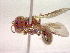  ( - CCDB-12231-D06)  @12 [ ] Copyright  G. Blagoev 2010 Unspecified