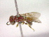  ( - CCDB-12231-E04)  @12 [ ] Copyright  G. Blagoev 2010 Unspecified