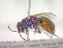  ( - CCDB-12231-F07)  @13 [ ] Copyright  G. Blagoev 2010 Unspecified