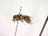  ( - CCDB-12232-A11)  @13 [ ] Copyright  G. Blagoev 2010 Unspecified