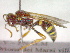  ( - CCDB-12232-D02)  @13 [ ] Copyright  G. Blagoev 2010 Unspecified