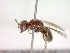  ( - CCDB-12232-E02)  @12 [ ] Copyright  G. Blagoev 2010 Unspecified