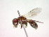 ( - CCDB-12232-E07)  @12 [ ] Copyright  G. Blagoev 2010 Unspecified