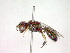  ( - CCDB-12232-F04)  @13 [ ] Copyright  G. Blagoev 2010 Unspecified