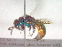  ( - CCDB-12232-F08)  @13 [ ] Copyright  G. Blagoev 2010 Unspecified