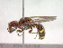  ( - CCDB-12232-H02)  @13 [ ] Copyright  G. Blagoev 2010 Unspecified