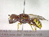  ( - CCDB-12232-H03)  @13 [ ] Copyright  G. Blagoev 2010 Unspecified