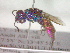  ( - CCDB-12232-H11)  @13 [ ] Copyright  G. Blagoev 2010 Unspecified