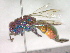  ( - CCDB-12233-A03)  @13 [ ] Copyright  G. Blagoev 2010 Unspecified