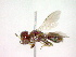  ( - CCDB-12233-A05)  @12 [ ] Copyright  G. Blagoev 2010 Unspecified