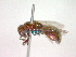  ( - CCDB-12233-A07)  @13 [ ] Copyright  G. Blagoev 2010 Unspecified