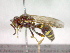 ( - CCDB-12233-C10)  @13 [ ] Copyright  G. Blagoev 2010 Unspecified