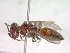  ( - CCDB-12233-D06)  @12 [ ] Copyright  G. Blagoev 2010 Unspecified