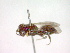  ( - CCDB-12233-E08)  @12 [ ] Copyright  G. Blagoev 2010 Unspecified
