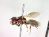  ( - CCDB-12233-F02)  @12 [ ] Copyright  G. Blagoev 2010 Unspecified