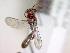  ( - CCDB-12233-F09)  @13 [ ] Copyright  G. Blagoev 2010 Unspecified