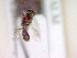  ( - CCDB-12233-H02)  @12 [ ] Copyright  G. Blagoev 2010 Unspecified