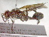  ( - CCDB-12233-H08)  @14 [ ] Copyright  G. Blagoev 2010 Unspecified